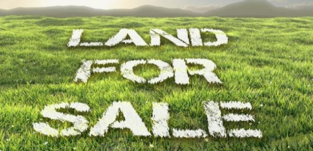 Purchase of Plots, Houses biggest Business for Kenyan SACCOs