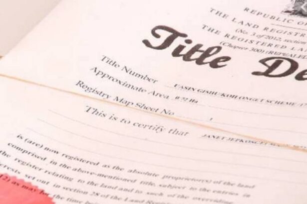 Why 2025 is the Best Time to Buy Land in Kenya - Username Investments