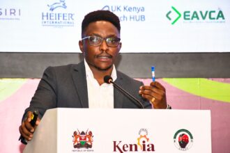 Meet The Millenial Architect's AI helping Africa's urban designers