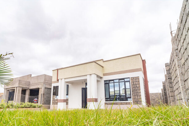 Rocksand Homes eye diaspora market with affordable units